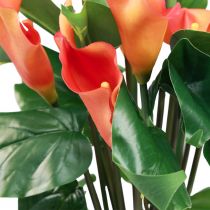 Artikel Calla Lilie Apricot Kalla Kunstblumen Orange Exoten 44cm