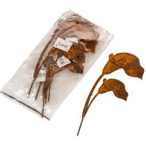 Artikel Gartenstecker Calla-Blüte Metall Rostoptik 25 cm 6 Stück