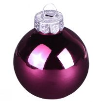 Artikel Christbaumkugeln Glas Baumkugeln Berry Mix Ø5cm 24 St Berry Rosa Beige creme glänzend