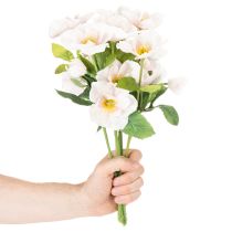 Artikel Kunstblume Christrose Bund 35cm Weiß-Rosa 6 Stück Innenbereich