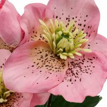 Christrose, Lenzrose, Nieswurz, Kunstpflanzen Rosa L34cm 4St