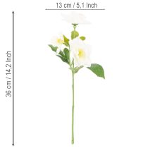 Artikel Künstliche Christrose Weiß Bund 36 cm Weihnachtsdekoration Innenbereich