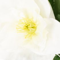 Artikel Künstliche Christrose Weiß Bund 36 cm Weihnachtsdekoration Innenbereich