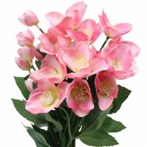 Artikel Blumenstrauß Christrosen Rosa 29cm 4St