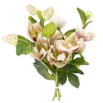 Artikel Künstliche Christrose Rosa-Grün 30 cm Bund mit 4 Stielen