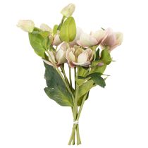 Artikel Künstliche Christrose Rosa-Grün 30 cm Bund mit 4 Stielen