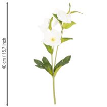 Artikel Christrose künstliche Blumen weiß, 40 cm, 4 Stück Bund, Dekoration