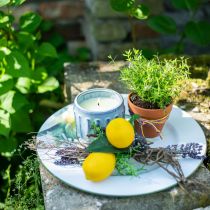 Citronella Kerze im Topf Duftkerze Zitrone Ø10,5cm H8cm