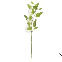 Artikel Künstlicher Clematis-Zweig mit weißen Blüten und grünen Blättern 81 cm, 2 Stück