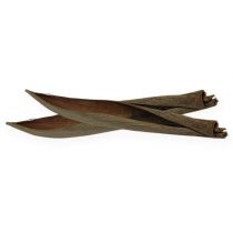 Artikel Cocosschalen Natur 60cm 5 St