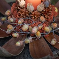 Artikel Cocosschalen Natur 60cm 5 St