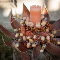 Artikel Cocosschalen Natur 60cm 5 St