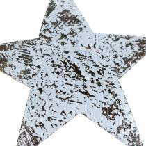 Artikel Kokos Stern Weiß gewaschen 10cm 20 St