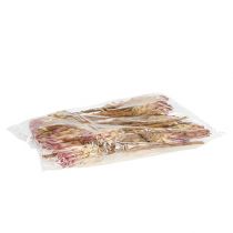 Artikel Compacta Pink 25St