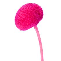 Artikel Craspedia Trockenblumen Bund 55 cm Pink 20 Stiele für Wohn- und Tischdekoration