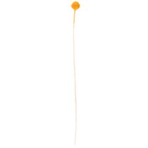 Artikel Craspedia Trockenblumenstrauß Orange 55 cm 20 Stiele