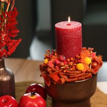 Artikel Craspedia Trockenblumenstrauß Orange 55 cm 20 Stiele