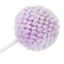 Artikel Craspedia Trockenblumen Helllila 55cm 20 Stiele für Tischdekoration