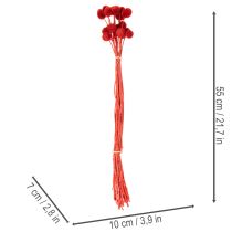 Artikel Trockenblumen Craspedia Rot 55cm 20 Stiele für Wohn- und Tischdekoration