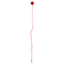 Artikel Trockenblumen Craspedia Rot 55cm 20 Stiele für Wohn- und Tischdekoration