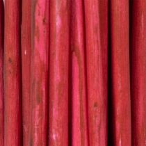Artikel Getrockneter Deko-Zweig aus Korkenzieherweide Rot 80cm 70g