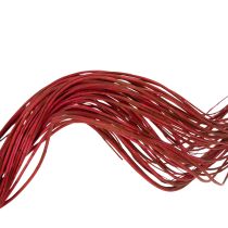 Artikel Getrockneter Deko-Zweig aus Korkenzieherweide Rot 80cm 70g