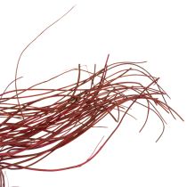 Artikel Getrockneter Deko-Zweig aus Korkenzieherweide Rot 80cm 70g
