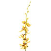 Artikel Künstliche Cymbidium Orchidee 95cm Gelb Grün Bordeaux 2 Stück