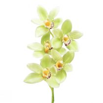 Artikel Cymbidium Orchidee künstlich 5 Blüten Grün 65cm