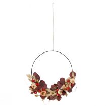 Artikel DIY Kranz Trockenblumen Strohblumen-Set Ø 30 cm in Warmen Tönen für Dekoration