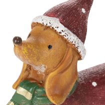 Artikel Dekofigur Dackel aus Polyresin 18 cm mit Geschenkpaket und Weihnachtsmütze