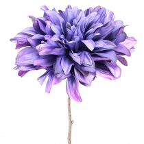 Artikel Dahlie Künstlich mit großer Blüte in Violett L58cm