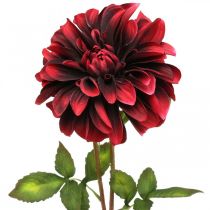 Artikel Kunstblume Dahlie Rot Seidenblume Herbst 78cm Ø3/15cm