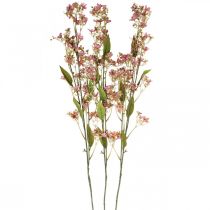 Artikel Dekozweig mit Blüten künstlich Rosa Daphne Zweig 110cm 3St