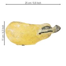 Artikel Beton Deko-Birne als Pflanztopf für Herbst und Spätsommer