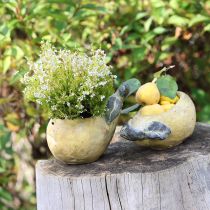 Artikel Beton Deko-Birne als Pflanztopf für Herbst und Spätsommer
