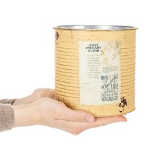 Artikel Deko-Pflanzgefäß Metall Apricot Ø15,5cm H15cm für Innen- und Außenbereich