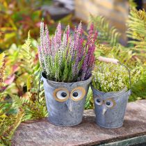 Artikel Deko Eimer Eule Übertopf Zink mit Henkel Ø15/19cm 2er-Set