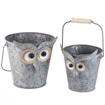 Artikel Deko Eimer Eule Übertopf Zink mit Henkel Ø15/19cm 2er-Set