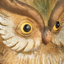 Artikel Deko Eule Dekofigur Handbemalt Herbst Deko Polyresin H14cm