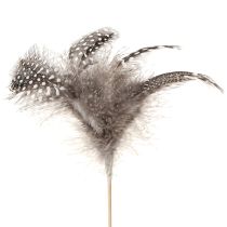 Artikel Deko Federn Perlhuhn gepunktet am Stab Natur L35cm 12 St