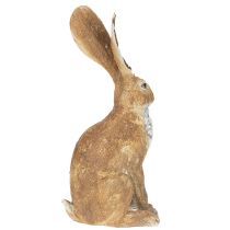 Artikel Dekofigur Hase Polystone 32 cm Braun Beige Set 2 Stück Innenbereich
