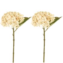 Artikel Deko Hortensien künstlich Creme Seidenblumen 34cm 2er-Set