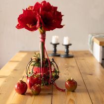 Artikel Deko Keramik Äpfel Tischdeko Herbst Rot Grün H7,5cm 4 St