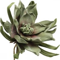 Deko Lotusblüte Künstlich Lotosblume Kunstblume Grün L70cm
