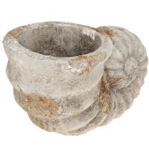 Artikel Deko Muschel Stein Optik Blumentopf 22,5x13,5x13,5cm