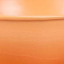 Artikel Deko-Tasse aus Metall mit Unterteller Ø16cm H9cm Orange