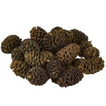 Artikel Deko Zapfen Erlenzapfen Natur zum Dekorieren 3-4cm 200g