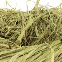 Deko Bast zum Basteln Naturbast Raffiabast Limette 200g
