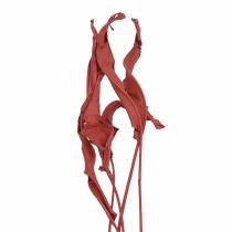 Deko Blätter Strelitzie Rot 85-105cm 10St